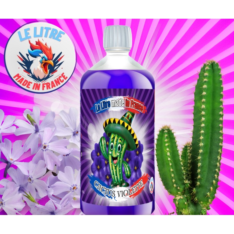 Cactus Violette